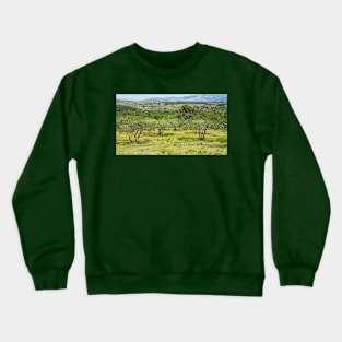 Olive Trees and Wild Flowers on Brac, Croatia Crewneck Sweatshirt